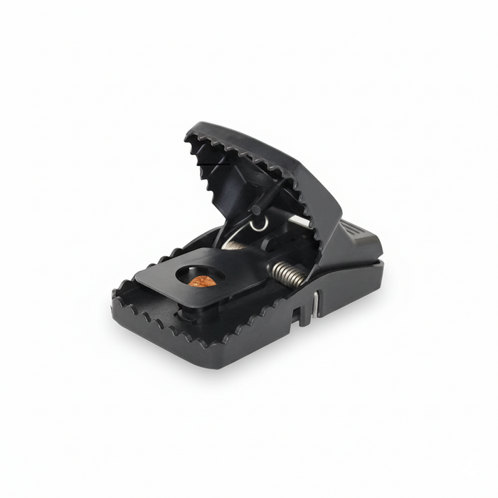 Utilisation du piège à rats dans une maison sénégalaise