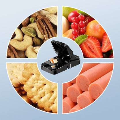 Piège à Rats Réutilisable