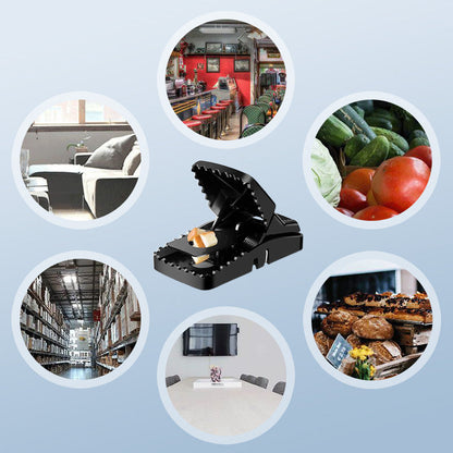 Piège à Rats Réutilisable